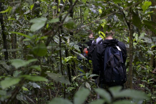 Nature walks and Cultural Experiences