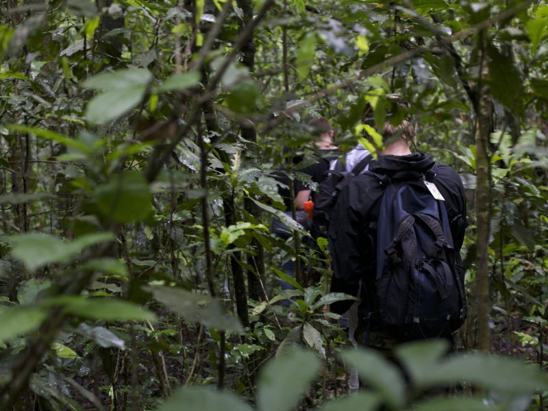 Nature walks and Cultural Experiences